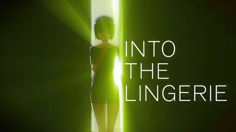 Into The Lingerie