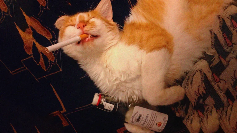 I never learned how to edit so I became an alcoholic (for u.)